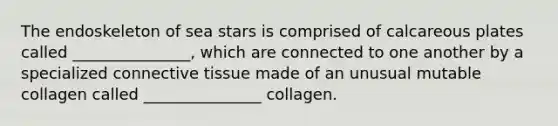 The endoskeleton of sea stars is comprised of calcareous plates called _______________, which are connected to one another by a specialized <a href='https://www.questionai.com/knowledge/kYDr0DHyc8-connective-tissue' class='anchor-knowledge'>connective tissue</a> made of an unusual mutable collagen called _______________ collagen.