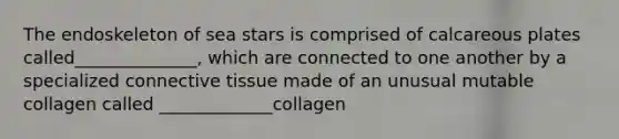 The endoskeleton of sea stars is comprised of calcareous plates called______________, which are connected to one another by a specialized connective tissue made of an unusual mutable collagen called _____________collagen