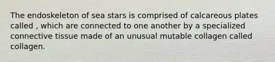 The endoskeleton of sea stars is comprised of calcareous plates called , which are connected to one another by a specialized connective tissue made of an unusual mutable collagen called collagen.