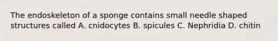 The endoskeleton of a sponge contains small needle shaped structures called A. cnidocytes B. spicules C. Nephridia D. chitin