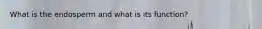 What is the endosperm and what is its function?