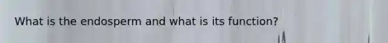 What is the endosperm and what is its function?