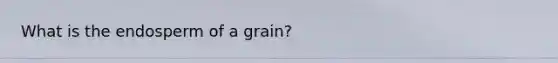 What is the endosperm of a grain?