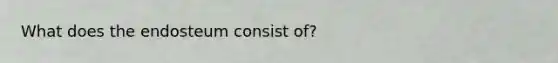 What does the endosteum consist of?