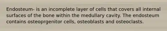 Endosteum- is an incomplete layer of cells that covers all internal surfaces of the bone within the medullary cavity. The endosteum contains osteoprgenitor cells, osteoblasts and osteoclasts.