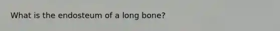 What is the endosteum of a long bone?