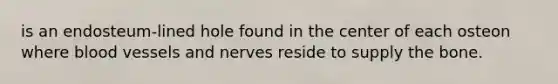 is an endosteum-lined hole found in the center of each osteon where blood vessels and nerves reside to supply the bone.