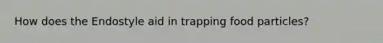 How does the Endostyle aid in trapping food particles?