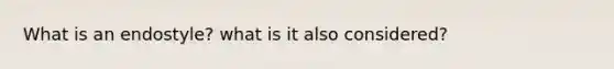 What is an endostyle? what is it also considered?