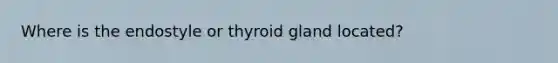 Where is the endostyle or thyroid gland located?