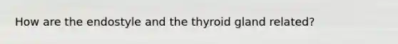 How are the endostyle and the thyroid gland related?