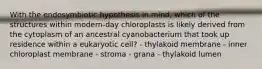 With the endosymbiotic hypothesis in mind, which of the structures within modern-day chloroplasts is likely derived from the cytoplasm of an ancestral cyanobacterium that took up residence within a eukaryotic cell? - thylakoid membrane - inner chloroplast membrane - stroma - grana - thylakoid lumen