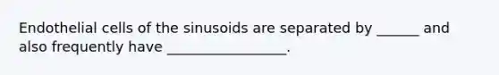 Endothelial cells of the sinusoids are separated by ______ and also frequently have _________________.