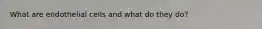 What are endothelial cells and what do they do?