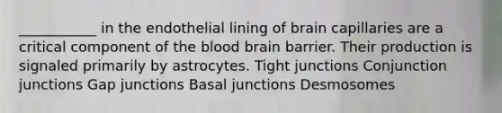 ___________ in the endothelial lining of brain capillaries are a critical component of the blood brain barrier. Their production is signaled primarily by astrocytes. Tight junctions Conjunction junctions Gap junctions Basal junctions Desmosomes