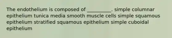 The endothelium is composed of __________. simple columnar epithelium tunica media smooth muscle cells simple squamous epithelium stratified squamous epithelium simple cuboidal epithelium