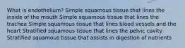 What is endothelium? Simple squamous tissue that lines the inside of the mouth Simple squamous tissue that lines the trachea Simple squamous tissue that lines blood vessels and the heart Stratified squamous tissue that lines the pelvic cavity Stratified squamous tissue that assists in digestion of nutrients