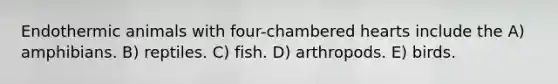 Endothermic animals with four-chambered hearts include the A) amphibians. B) reptiles. C) fish. D) arthropods. E) birds.