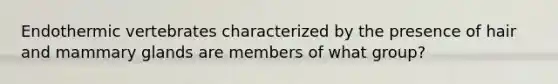 Endothermic vertebrates characterized by the presence of hair and mammary glands are members of what group?