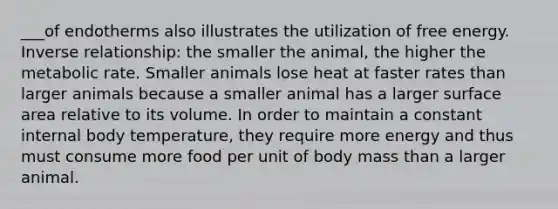 ___of endotherms also illustrates the utilization of free energy. <a href='https://www.questionai.com/knowledge/kc6KNK1VxL-inverse-relation' class='anchor-knowledge'>inverse relation</a>ship: the smaller the animal, the higher the metabolic rate. Smaller animals lose heat at faster rates than larger animals because a smaller animal has a larger surface area relative to its volume. In order to maintain a constant internal body temperature, they require more energy and thus must consume more food per unit of body mass than a larger animal.