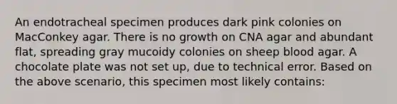 An endotracheal specimen produces dark pink colonies on MacConkey agar. There is no growth on CNA agar and abundant flat, spreading gray mucoidy colonies on sheep blood agar. A chocolate plate was not set up, due to technical error. Based on the above scenario, this specimen most likely contains: