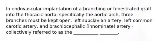 In endovascular implantation of a branching or fenestrated graft into the thoracic aorta, specifically the aortic arch, three branches must be kept open: left subclavian artery, left common carotid artery, and brachiocephalic (innominate) artery - collectively referred to as the ___________ ________.