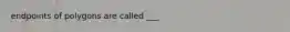 endpoints of polygons are called ___