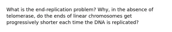 What is the end-replication problem? Why, in the absence of telomerase, do the ends of linear chromosomes get progressively shorter each time the DNA is replicated?