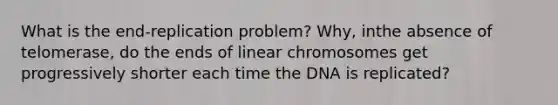 What is the end-replication problem? Why, inthe absence of telomerase, do the ends of linear chromosomes get progressively shorter each time the DNA is replicated?