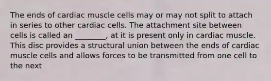 The ends of cardiac muscle cells may or may not split to attach in series to other cardiac cells. The attachment site between cells is called an ________, at it is present only in cardiac muscle. This disc provides a structural union between the ends of cardiac muscle cells and allows forces to be transmitted from one cell to the next