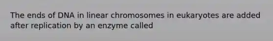 The ends of DNA in linear chromosomes in eukaryotes are added after replication by an enzyme called