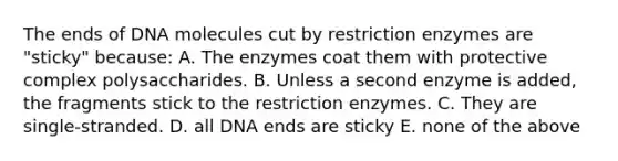 The ends of DNA molecules cut by restriction enzymes are "sticky" because: A. The enzymes coat them with protective complex polysaccharides. B. Unless a second enzyme is added, the fragments stick to the restriction enzymes. C. They are single-stranded. D. all DNA ends are sticky E. none of the above