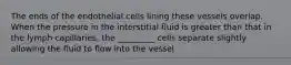 The ends of the endothelial cells lining these vessels overlap. When the pressure in the interstitial fluid is greater than that in the lymph capillaries, the _________ cells separate slightly allowing the fluid to flow into the vessel