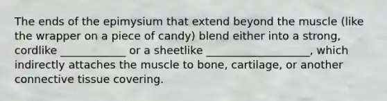 The ends of the epimysium that extend beyond the muscle (like the wrapper on a piece of candy) blend either into a strong, cordlike ____________ or a sheetlike ___________________, which indirectly attaches the muscle to bone, cartilage, or another connective tissue covering.