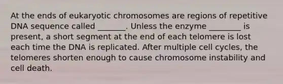 At the ends of eukaryotic chromosomes are regions of repetitive DNA sequence called _______. Unless the enzyme ________ is present, a short segment at the end of each telomere is lost each time the DNA is replicated. After multiple cell cycles, the telomeres shorten enough to cause chromosome instability and cell death.