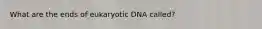 What are the ends of eukaryotic DNA called?