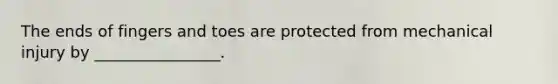 The ends of fingers and toes are protected from mechanical injury by ________________.