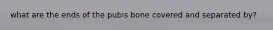 what are the ends of the pubis bone covered and separated by?