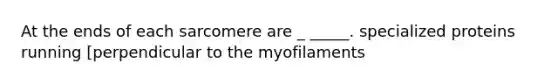 At the ends of each sarcomere are _ _____. specialized proteins running [perpendicular to the myofilaments