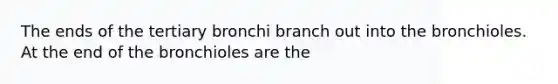 The ends of the tertiary bronchi branch out into the bronchioles. At the end of the bronchioles are the