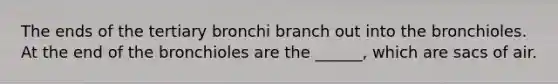 The ends of the tertiary bronchi branch out into the bronchioles. At the end of the bronchioles are the ______, which are sacs of air.