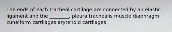 The ends of each tracheal cartilage are connected by an elastic ligament and the ________. pleura trachealis muscle diaphragm cuneiform cartilages arytenoid cartilages