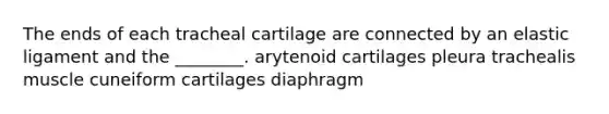 The ends of each tracheal cartilage are connected by an elastic ligament and the ________. arytenoid cartilages pleura trachealis muscle cuneiform cartilages diaphragm