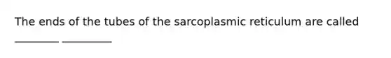 The ends of the tubes of the sarcoplasmic reticulum are called ________ _________