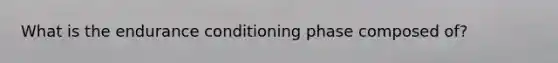 What is the endurance conditioning phase composed of?