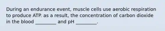 During an endurance event, muscle cells use aerobic respiration to produce ATP. as a result, the concentration of carbon dioxide in the blood _________ and pH _________.