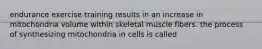 endurance exercise training results in an increase in mitochondria volume within skeletal muscle fibers. the process of synthesizing mitochondria in cells is called