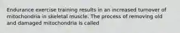 Endurance exercise training results in an increased turnover of mitochondria in skeletal muscle. The process of removing old and damaged mitochondria is called