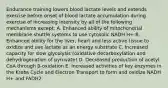 Endurance training lowers blood lactate levels and extends exercise before onset of blood lactate accumulation during exercise of increasing intensity by all of the following mechanisms except: A. Enhanced ability of mitochondrial membrane shuttle systems to use cytosolic NADH H+ B. Enhanced ability for the liver, heart and less active tissue to oxidize and use lactate as an energy substrate C. Increased capacity for slow glycolysis (oxidative decarboxylation and dehydrogenation of pyruvate) D. Decreased production of acetyl CoA through β-oxidation E. Increased activities of key enzymes in the Krebs Cycle and Electron Transport to form and oxidize NADH H+ and FADH2