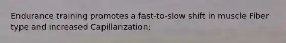 Endurance training promotes a fast-to-slow shift in muscle Fiber type and increased Capillarization: